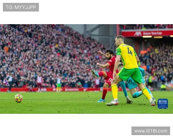 诺维奇足球俱乐部历程与辉煌：从草根到英超舞台的崛起与挑战